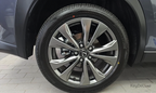 Lexus UX300h 2.0 F Sport 2WD